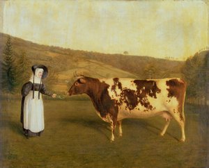 Shorthorn Cow, n. 1840-50